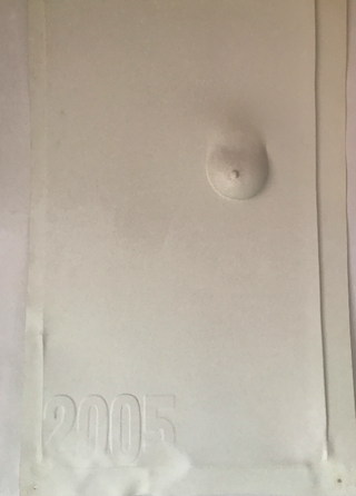 Collezione 2000 - 2010, Seth Price
Different Kinds of Arts, 2004
vacuum formed high-impact polystyrene
121,29 × 86,4 cm
SOR 07/013