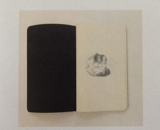Collezione Ferrari 2010 - 2021, Stefano Canto
Quaderno di studio, Archeologia dell’effimero, 2016
quaderno di studio, 29 disegni
13 × 21 cm