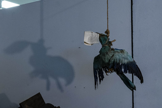 Viafarini Open Studio, Ping Pong, Lorenzo Montinaro