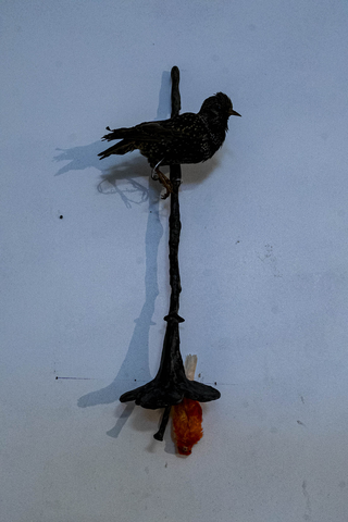 Viafarini Open Studio, Ping Pong, Lorenzo Montinaro