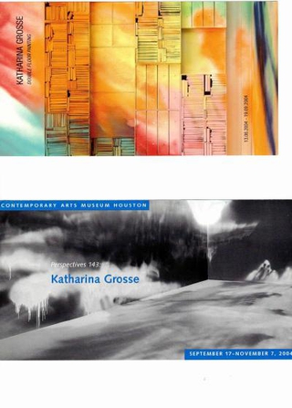 Katharina Grosse, progetti precedenti.